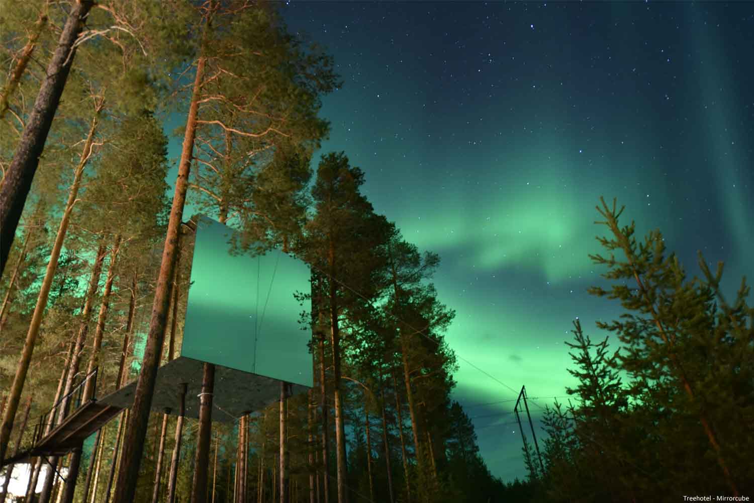 Treehotel Zweden Lapland