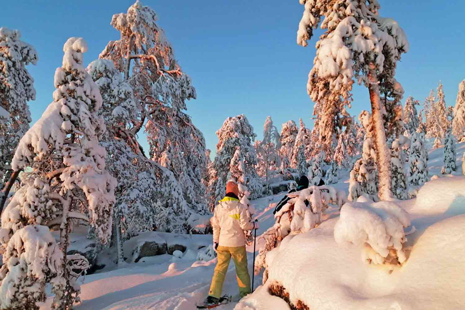 Sneeuwschoen wandelen Zweeds Lapland