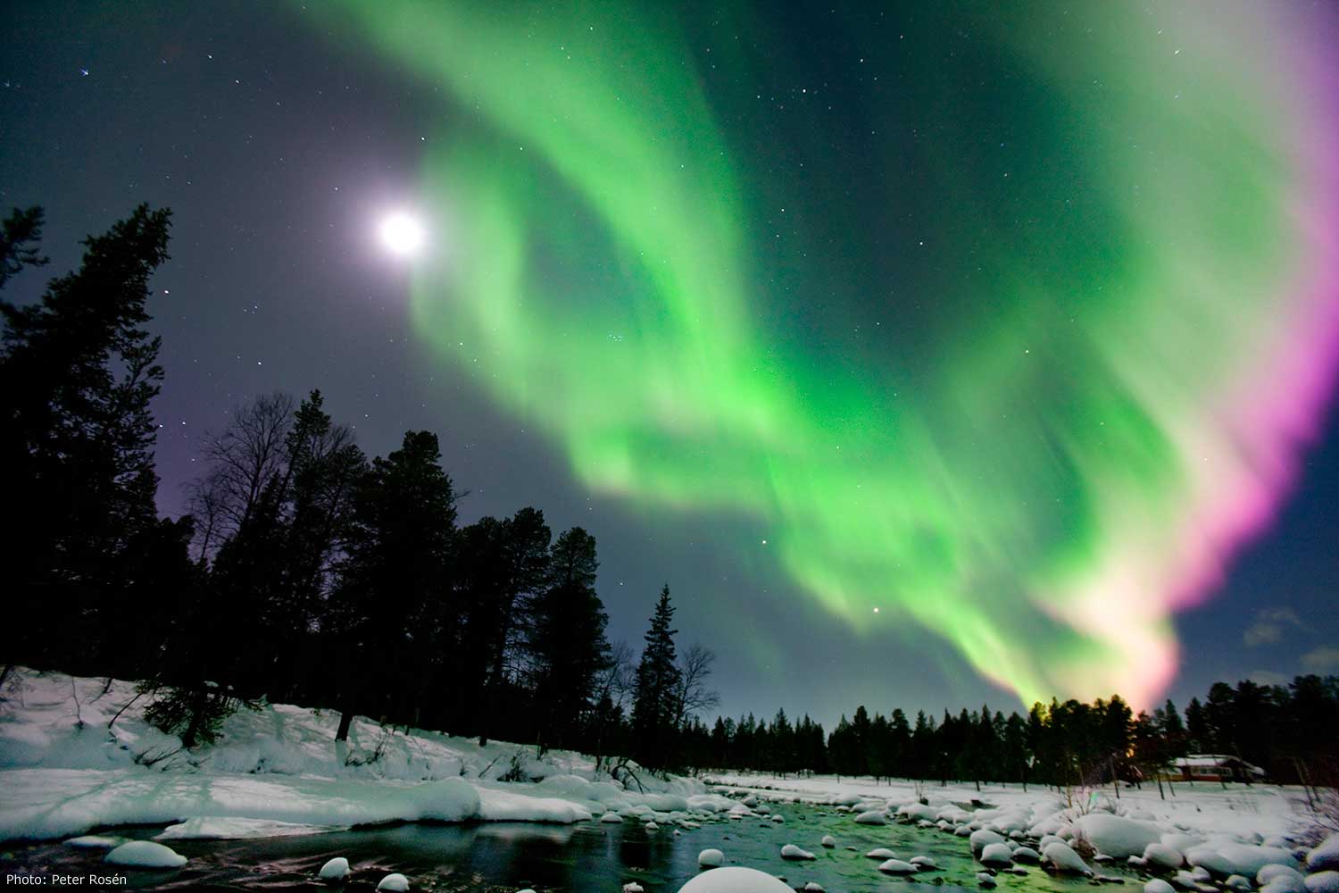 Noorderlicht wetenschap